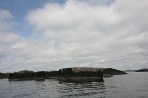 Black Rocks in Bay of Islands
