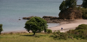Roberton Island