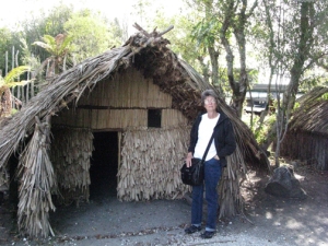 Traditional Maori construction.